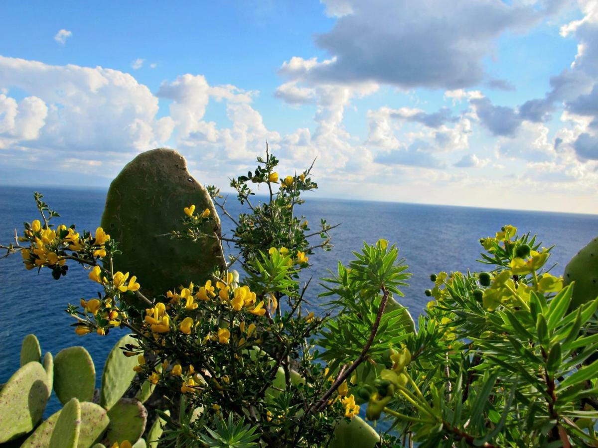 Casa Vacanze Miceli Tropea Eksteriør bilde